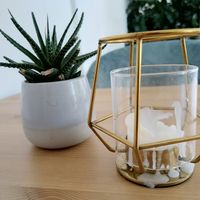 Kaktus at Hippie Chay in Munich