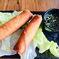 Vegan spring rolls at Miss Mary's in Hotham Central
