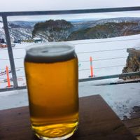 Pretty views at Miss Mary's in Hotham Central