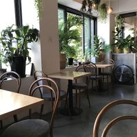 Cafe interior at Plant Cafe & Kitchen - Itaewon in Seoul