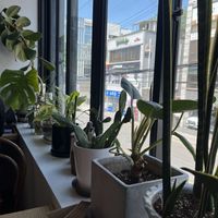 Views, it’s on the second floor so if you’re struggling to find it, look up!  at Plant Cafe & Kitchen - Itaewon in Seoul