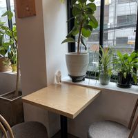 Interior  at Plant Cafe & Kitchen - Itaewon in Seoul