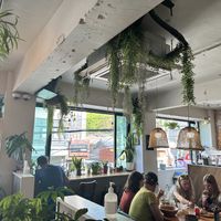   at Plant Cafe & Kitchen - Itaewon in Seoul