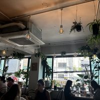   at Plant Cafe & Kitchen - Itaewon in Seoul