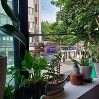  at Plant Cafe & Kitchen - Itaewon in Seoul