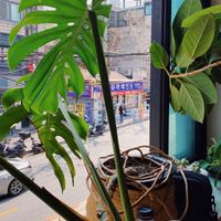  at Plant Cafe & Kitchen - Itaewon in Seoul