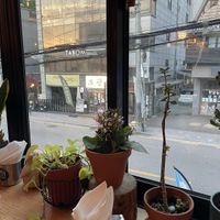   at Plant Cafe & Kitchen - Itaewon in Seoul