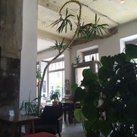 inside look at Vary in Leipzig