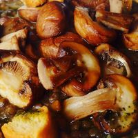 Amazing, flavourful mushrooms & lentil stew with herby croutons. at Rialto in Eyemouth