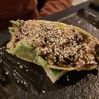 Takito (a starter) at Zushi in Trieste