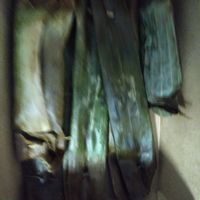 Otah and lemper at Warung Ijo in Central Singapore