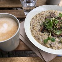 Big mushroom barley-otto at GRØD - Vesterbrogade in Copenhagen