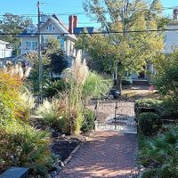 View from front porch at Dreamers by DW in Wilmington