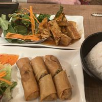 vegetable rolls and spicy fried tofu  at The ThongLor Thai Restaurant in San Francisco