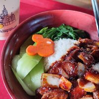 Rice, fried bean curd and veggies in garlicy sauce, with pakchoi at Disney - Tangled Tree Tavern  in Shanghai