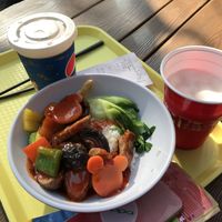 Vegetables with Sweet and Sour Sauce with Rice at Disney - Tangled Tree Tavern  in Shanghai