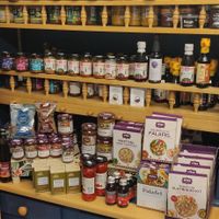 Saucy at Parry Farm Produce in Dumfries