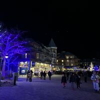 The Village   at Rusty's at Blue in The Blue Mountains