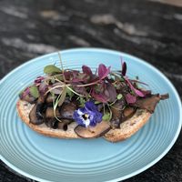 Wild mushrooms flavoured with thyme and miso, on sourdough.  at Sydney Rocks in North London