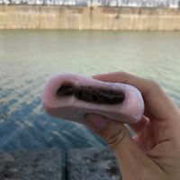 Daifuku at Leaves House || in Montreal