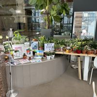   at Leaves House || in Montreal