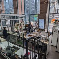  at Leaves House || in Montreal