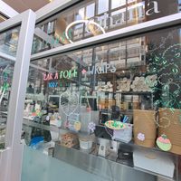  at Leaves House || in Montreal