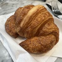   at Leaves House || in Montreal