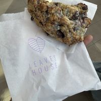 Scone  at Leaves House || in Montreal