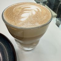   at Leaves House || in Montreal