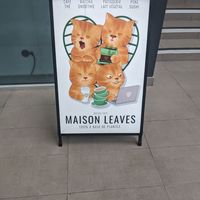  at Leaves House || in Montreal