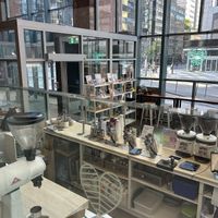   at Leaves House || in Montreal