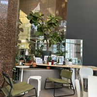   at Leaves House || in Montreal