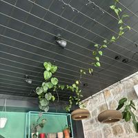   at Urban & Veggie in Dubrovnik