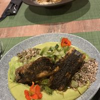   at Urban & Veggie in Dubrovnik