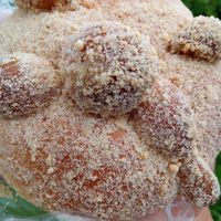 Con Mazapán at Libres X Siempre in Mexico City