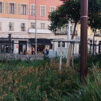 F at Not Dog in Nice