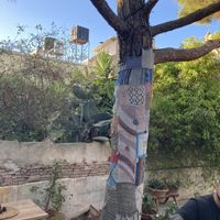   at Green Kukunari in Crete