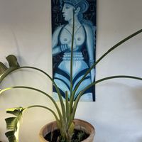   at Green Kukunari in Crete