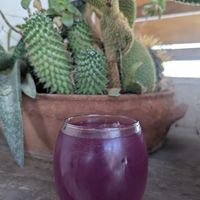 Homemade Purple Lemonade at Green Kukunari in Crete