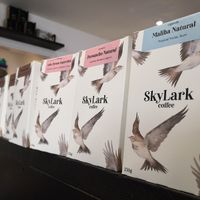 Skylark coffee at Canopy in Guildford
