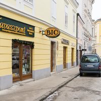  at Tavaszpont in Szekesfehervar