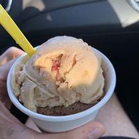 Vegan PB&J and dark chocolate. Amazing! at Melt Ice Creams in Fort Worth