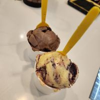 Vegan flavors at Melt Ice Creams in Fort Worth