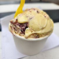 Lemon blueberry at Melt Ice Creams in Fort Worth