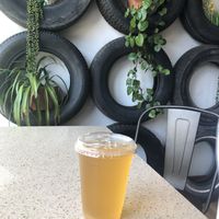 Booch  at Moab Garage Co. in Moab