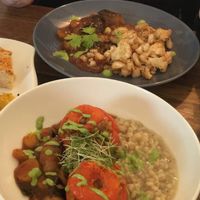 Both vegan dishes of the day (pearl barley stuffed tomatoes with ragout and panfried crumbed cauliflower with ragout) at LeichtSinn Vitalbistro in Salzburg