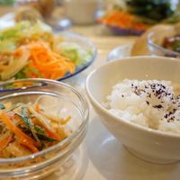 Buffet lunch with rice and vegetables.  at Greens Vegetarian Dishes in Osaka