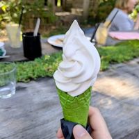 Vegan soft serve at De Groene Afslag in Bussum