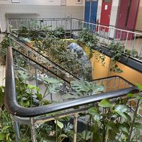   at De Groene Afslag in Bussum